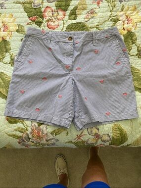 Talbots Blue and White Striped Shorts with Pink Watermelon Embroidery